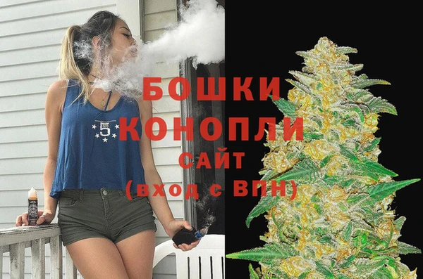 мдпв Лабытнанги